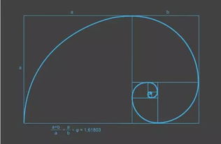 黄金分割的名言
