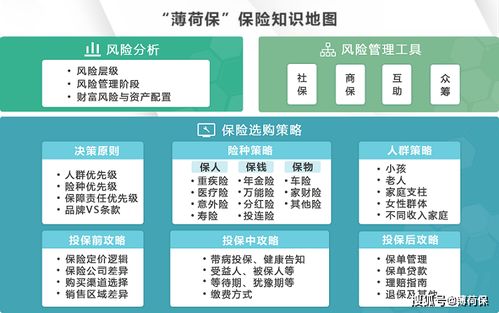 AG真人平台哪个靠谱-动态揭秘，选择与风险全面分析”