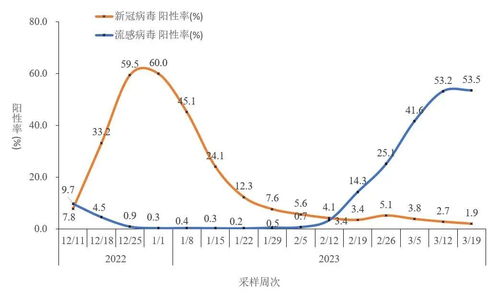 2023年8月5日的2,4-二硝基苯胺商品报价变动