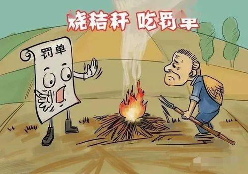 不能烧 玉林三人因露天焚烧秸秆吃罚单