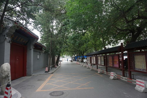 北京东晓市街全面整治 恢复步道增加绿化 优化天坛北门外交通 