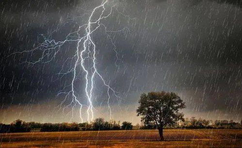 暴雨红色预警 我市新一轮强降雨来袭,请注意防范