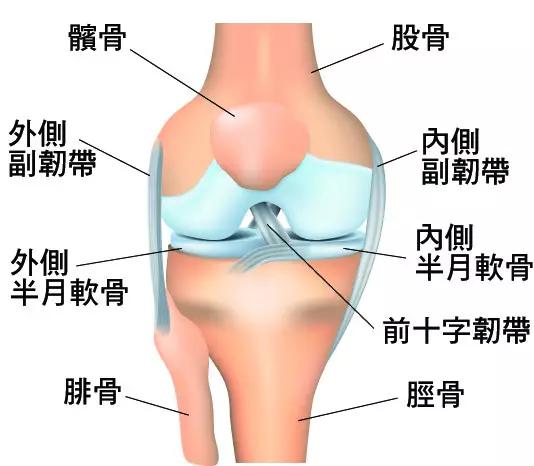 走路不是膝盖痛的杀手,它们才是 无论处在什么年纪,你都该知道膝