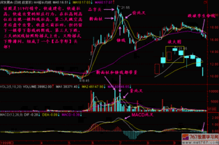 如何根据K线确定头部？