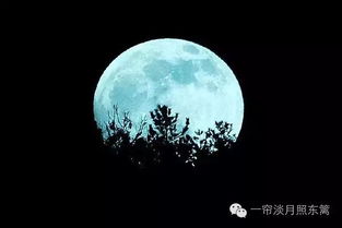 有关中秋节的诗句 关于月亮的谜语