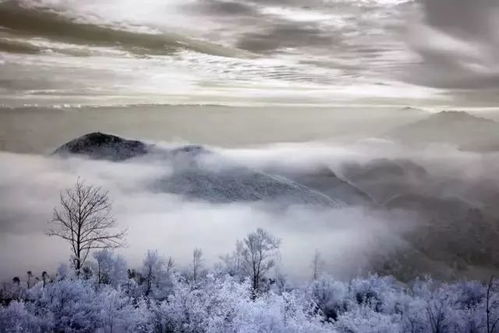 景美人少不打堆│重庆惊现绝美小众耍雪地