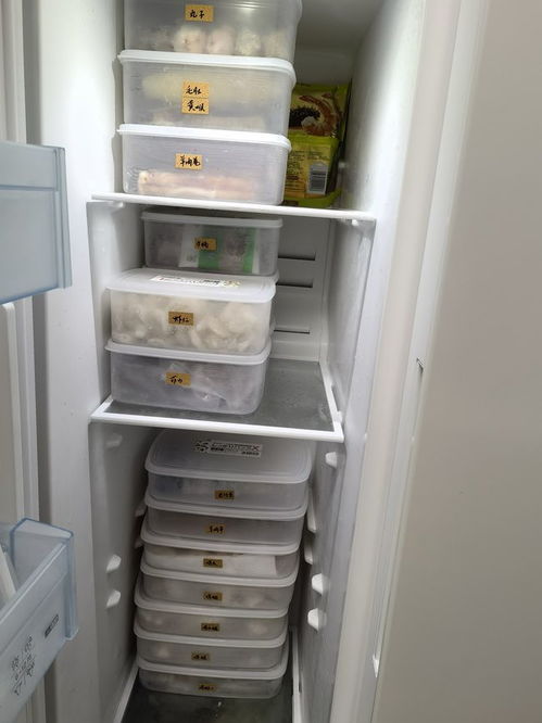 冰箱可放什么东西