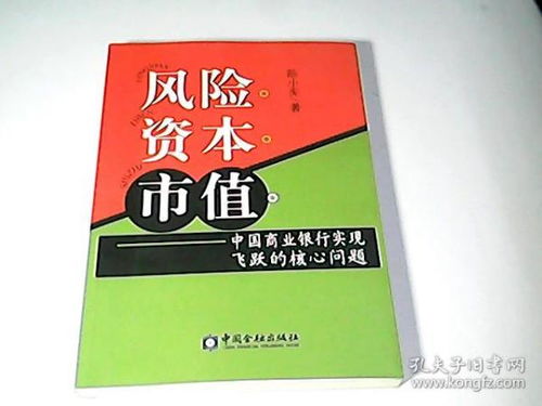 目前我国国有商业银行是怎么确定风险资本的？