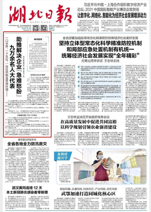 菏泽日报副刊投稿须知范文（为什么潍坊的车号牌有鲁G和鲁V？）