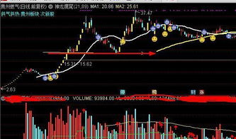 股票跌停4个板后换手率10.44％明天是涨还是跌