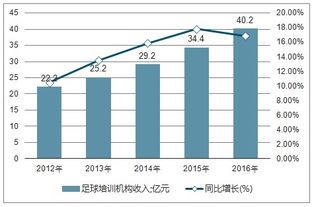 中国足球培训排名前十：独占鳌头，培养未来足球之星