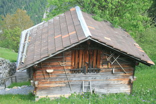 小屋,瑞士,木材,阿尔卑斯山,高山,自然,山,村,传统的,山寨,建设,欧洲,景区 