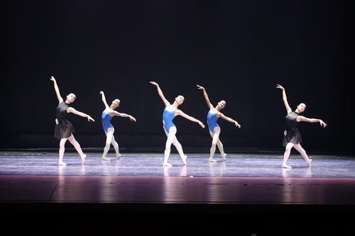 北京戏曲艺术职业学院 校园新闻 我院学生参加国际标准舞技术技能比赛取得优异成绩 