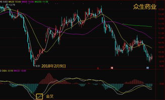 九洲药业的第15次MACD金叉买入胜率如何？数据揭示真相