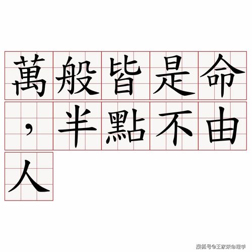 壬午运什么意思(壬午运(吉2018-2027)什么意思)