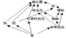 ABO血型的分类是根据红细胞上的一种与血型决定有关的蛋白质有关.而在每个人的血清里又含有相应的蛋白质.但每个人的血清中没有与自身红细胞相对抗的凝集素.各种血型的凝集原和凝集素之间的关系如表 