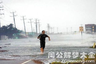 梦见道路被水淹没是什么意思 梦到道路被水淹没好不好 大鱼解梦网 