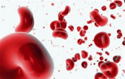血常规能检查出什么,血常规能检查出什么性疾病