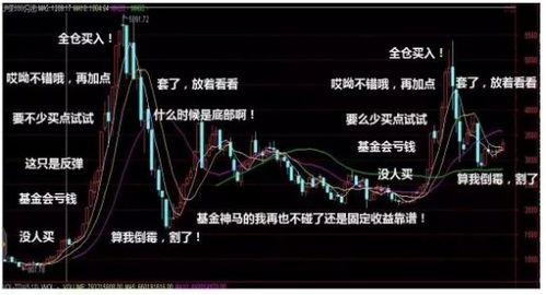 基金受股票影响 那为什么股票涨  基金怎么跌呢？