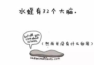 蠢萌小漫画告诉你的那些冷知识 