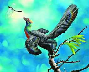 中国发现1.61亿年前 彩虹恐龙 羽毛绚丽如蜂鸟 