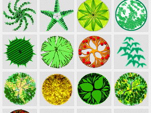 独立png 景观效果图平面手绘植物图片素材 模板下载 7.72MB 花卉大全 自然 