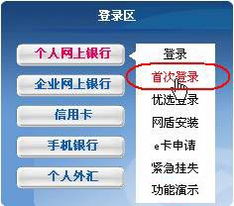 兴业银行自然人生理财卡，怎么开通网上支付功能呢？