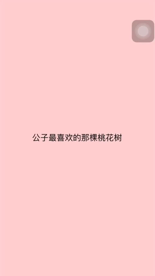 坏坏的撩人情话100句