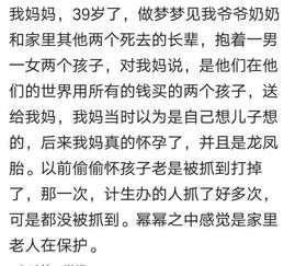 命 什么是命 你算过命吗 信命吗 看看网友们怎么说的 