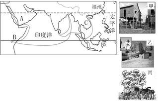 地球公转产生A.昼夜交替 B.四季交替C.太阳的东升西落 D.全球气候变暖 题目和参考答案 青夏教育精英家教网 