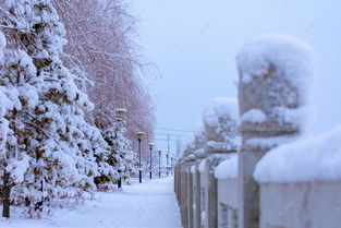 美丽的雪景高清摄影大图 千库网 
