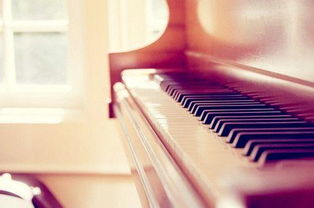 20条钢琴实用冷知识,不了解钢琴的人不知道,懂10条以上是大神