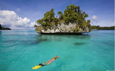 巴厘岛旅游回国必带谁知道巴厘岛海边捡的贝壳和珊瑚石能过海关吗