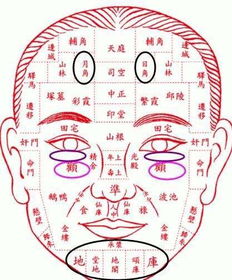 面无善痣,体无恶痣,痣相大全,您身上的痣在相学是吉是凶 1