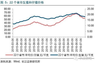 水泥涨价，哪些股票可以关注