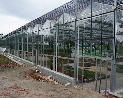 玻璃温室大棚 潍坊千宏温室工程 玻璃温室大棚厂家 