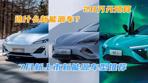 20万买什么车(寿险的功能与意义)20万买什么车好suv