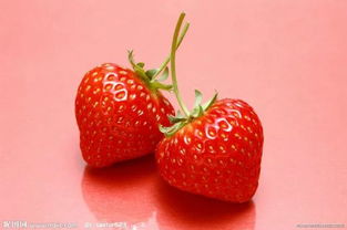 草莓的功效与营养价值,草莓具有哪些用途？