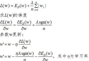 什么是 L1/L2 正则化