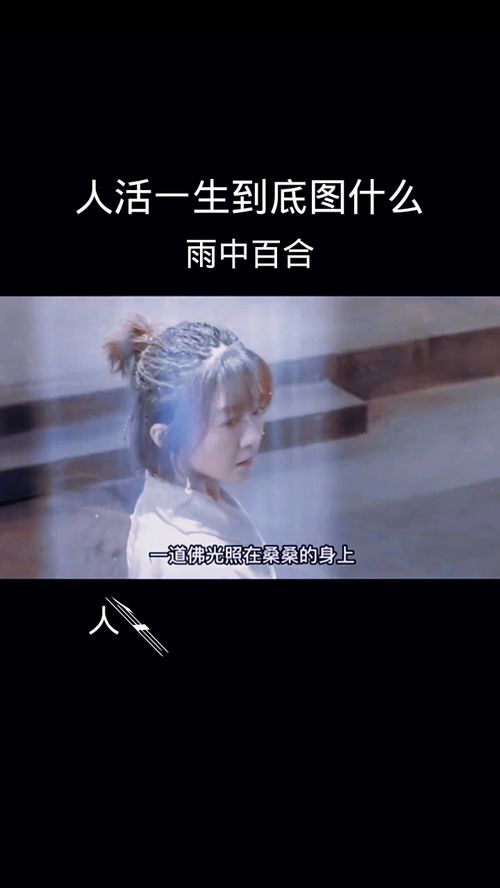 人活一生到底图什么 雨中百合 