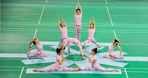 春意正浓,北京大学瑜伽队线上训练进行中