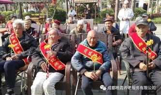 清明节成都晚霞组织抗战老兵和老人们祭拜战友和亲人