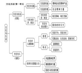 高二政治必修三知识总结