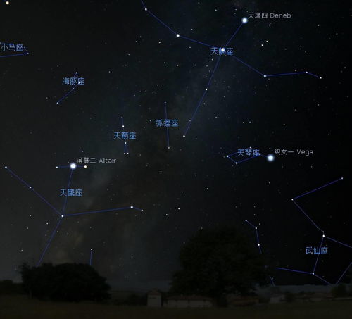 观星正当时 即将进 四九 ,亮星最多的冬季有哪些特亮的星