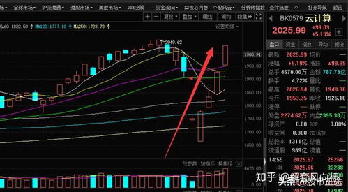 云计算概念股龙头，最新云计算概念股龙头有哪些