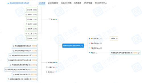 我们是旅游投资公司，开发一个项目，产生的咨询费、设计费入什么科目