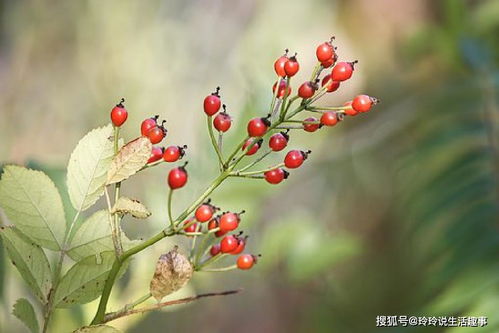 朋友圈精辟透彻的人生哲理句子,内涵深刻,引人深思