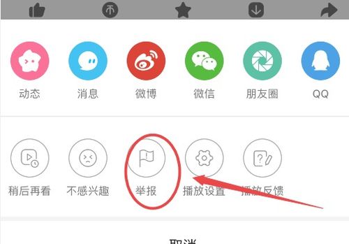 b站怎么举报视频（b站视频怎么推广） 第1张