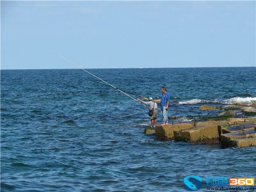 海钓技巧 