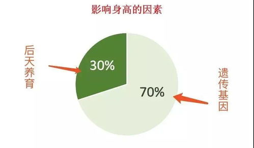 怀孕的孙艺珍将迎来 基因彩票 ,而基因刺客误了多少人